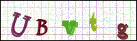 Image Verification